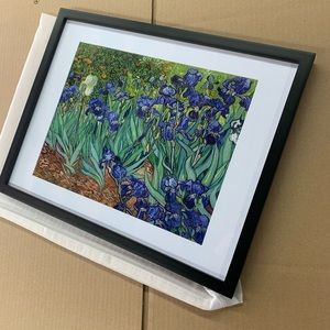 Irises framed flowers wall artwork framed 14x18